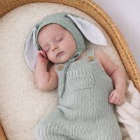 Mint Dolly Set